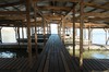 2022-02-20 JP Coleman State Park 071